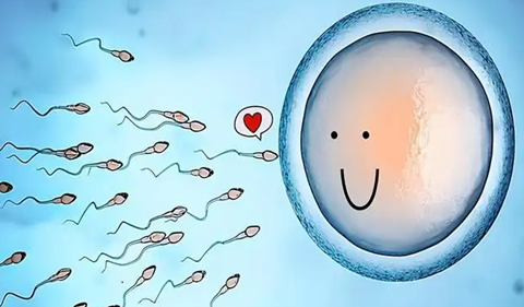 关于试管代怀生子助孕代妈